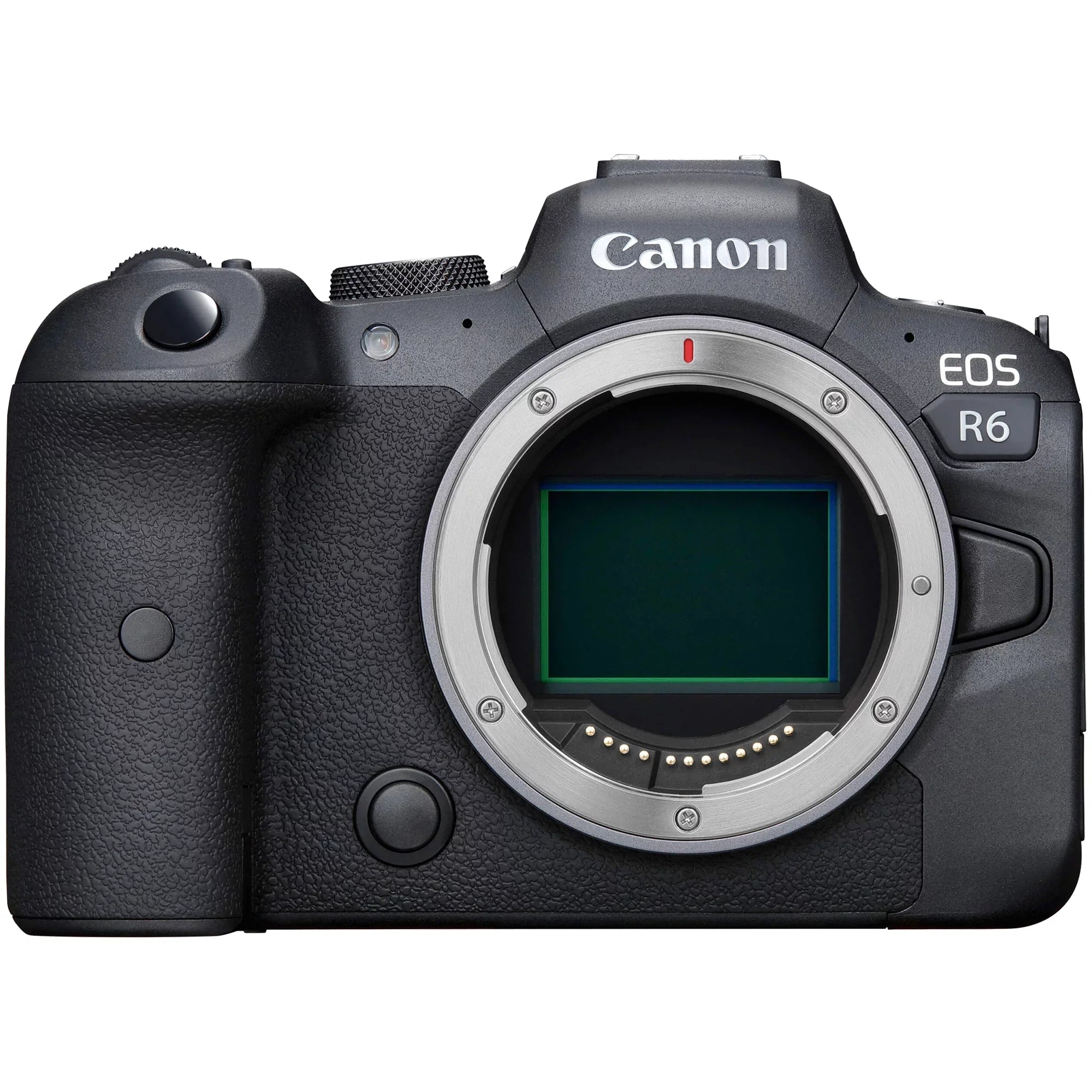 EOS R6 Mirrorless Digital Camera with RF 24-105mm STM Lens + Mount Adapter + SanDisk 128GB + ZeeTech Accessory Bundle
