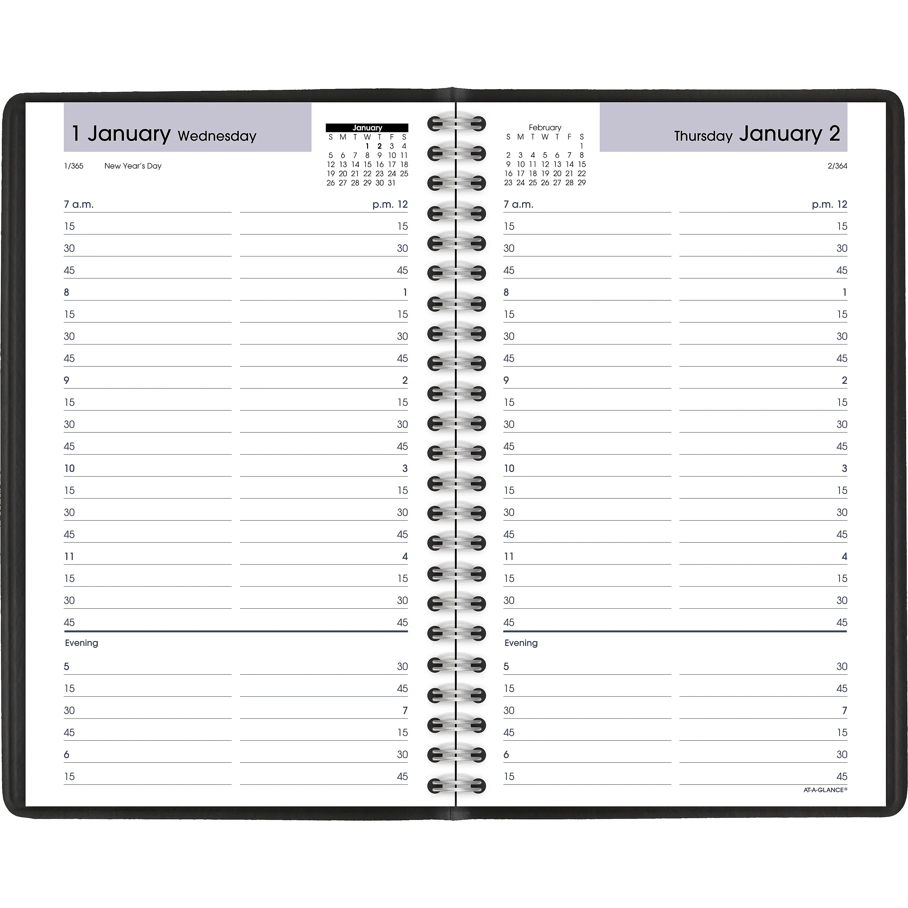 AT-A-GLANCE® DayMinder® Daily Appointment Book/Planner, 5-1/2" x 8-1/2", Black, January To December 2020, G10000