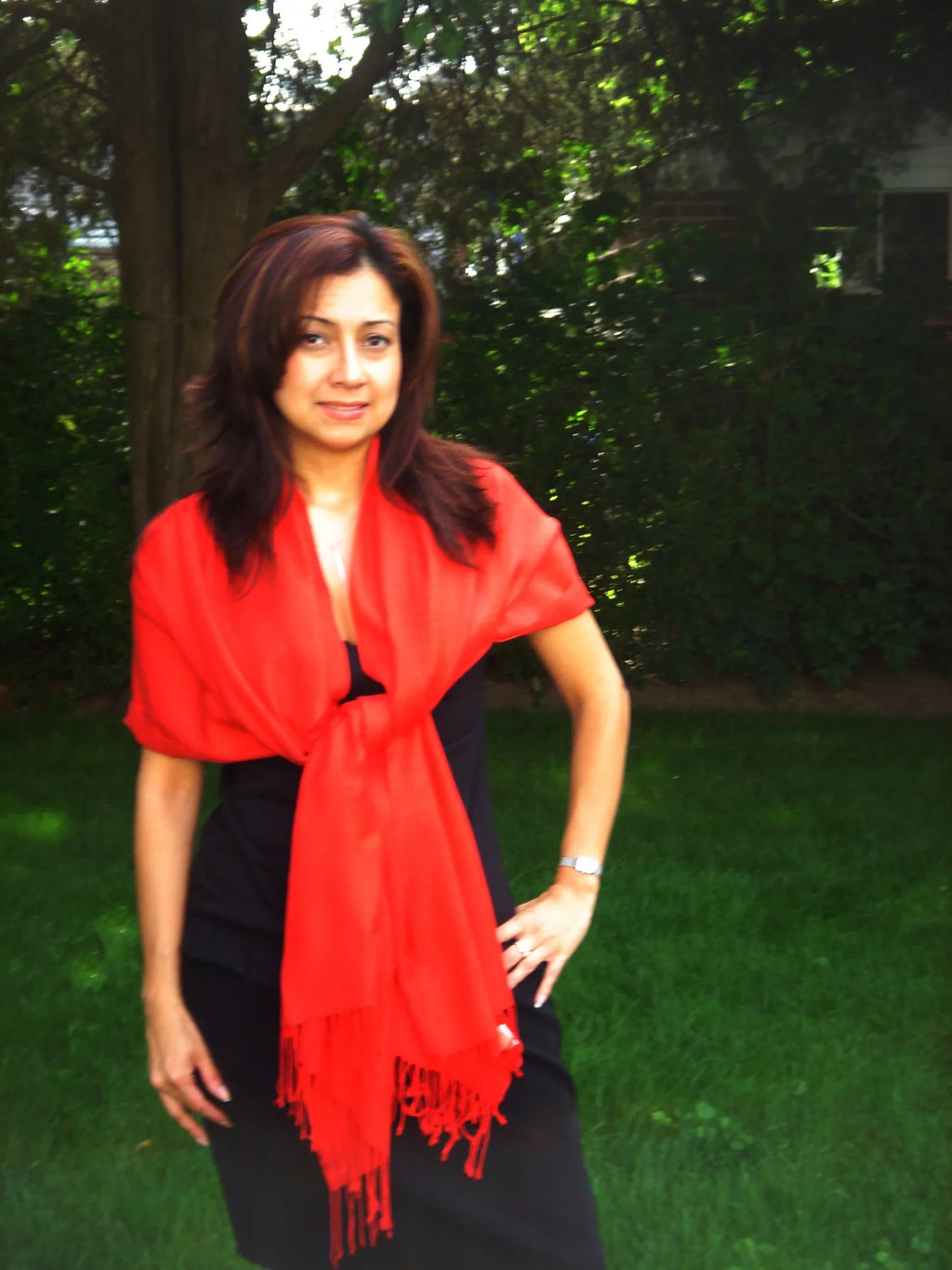 Scarf/Scarves/Shawl/Shawls/Stole/Wrap/Pashmina Scarf/Pashmina Shawl/Cashmere/Cashmere Scarf/Wool/Silk (Lipstick Red)