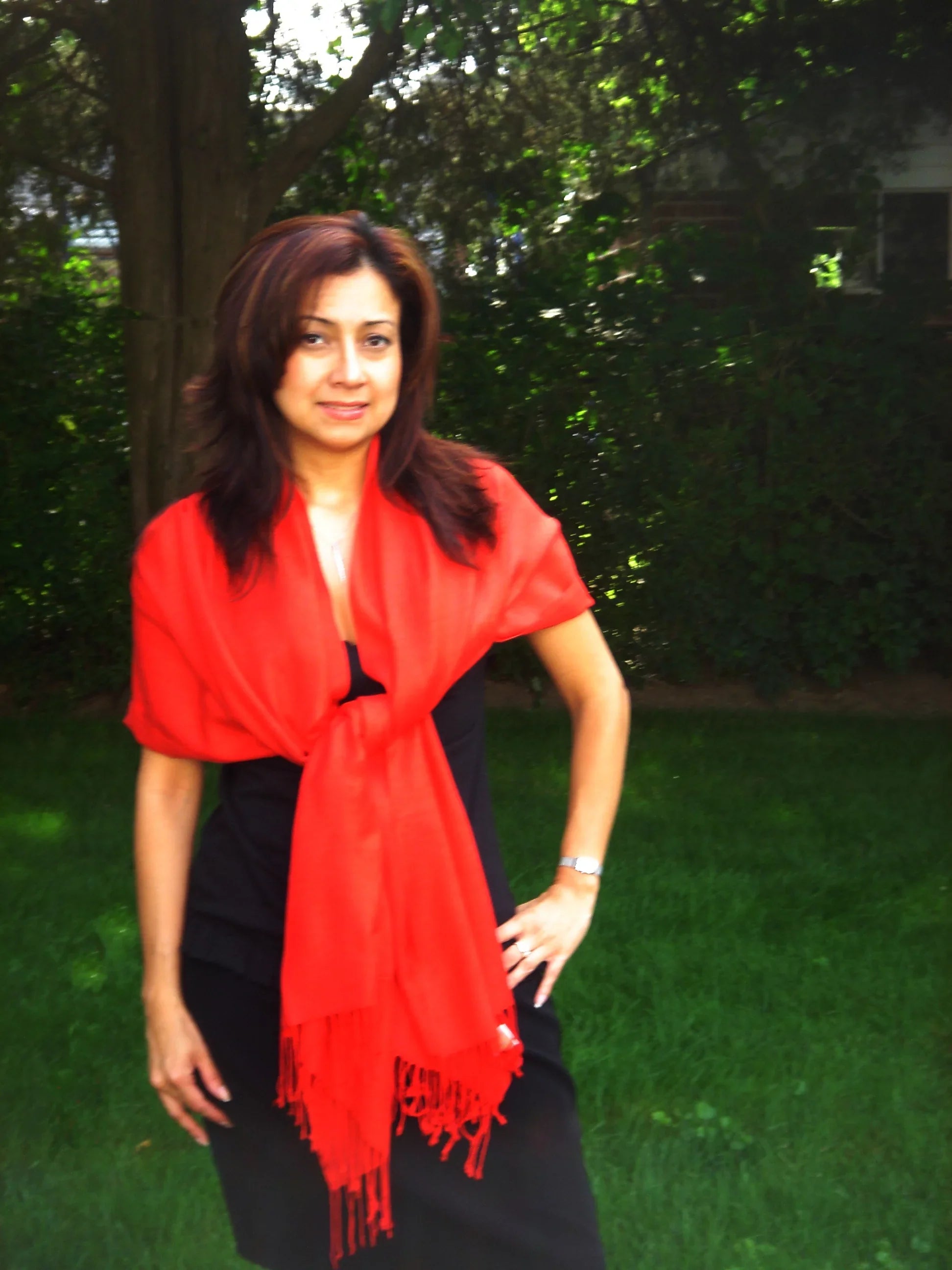 Scarf/Scarves/Shawl/Shawls/Stole/Wrap/Pashmina Scarf/Pashmina Shawl/Cashmere/Cashmere Scarf/Wool/Silk (Lipstick Red)