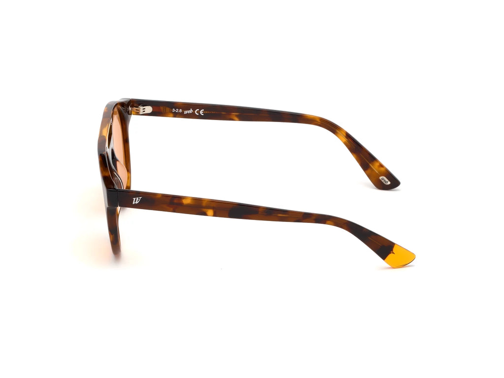 Web sunglasses WE0262 UNISEX 51/19/145 56J HAVANA