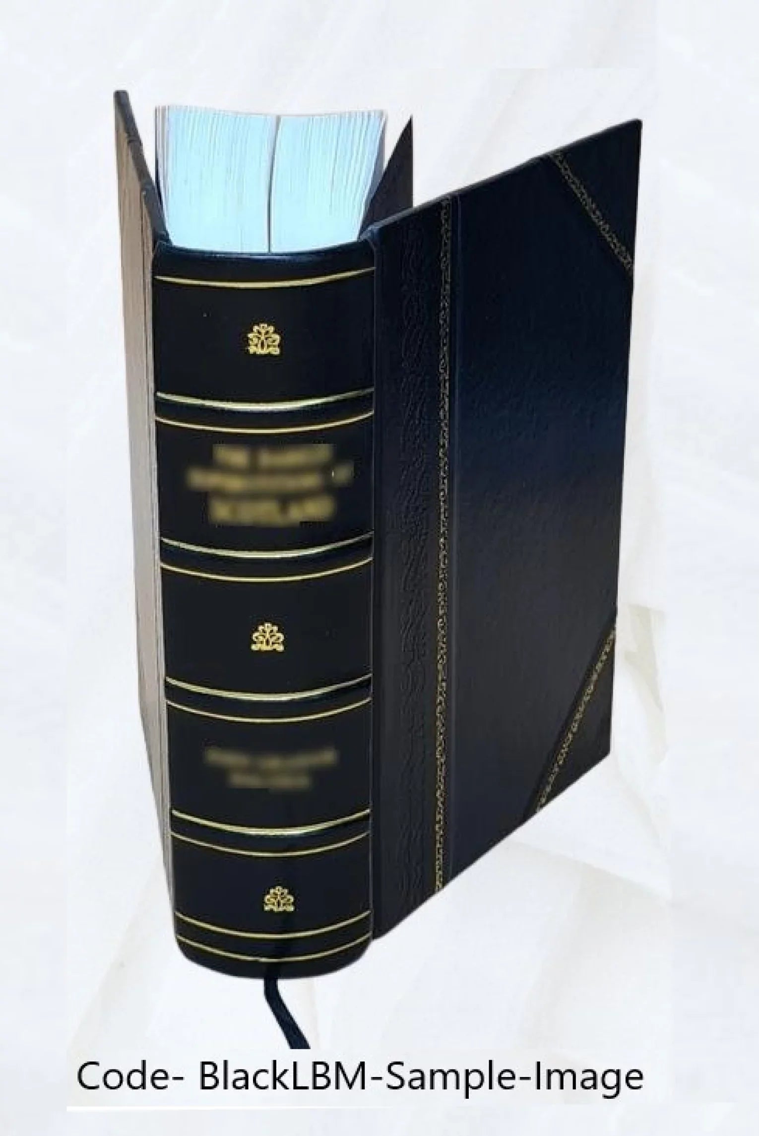 Mondo simbolico, o sia, Vniuersita' d'imprese scelte, spiegate, ed' illustrate con sentenze ed eruditioni sacre e profane 1653 [Leather Bound]
