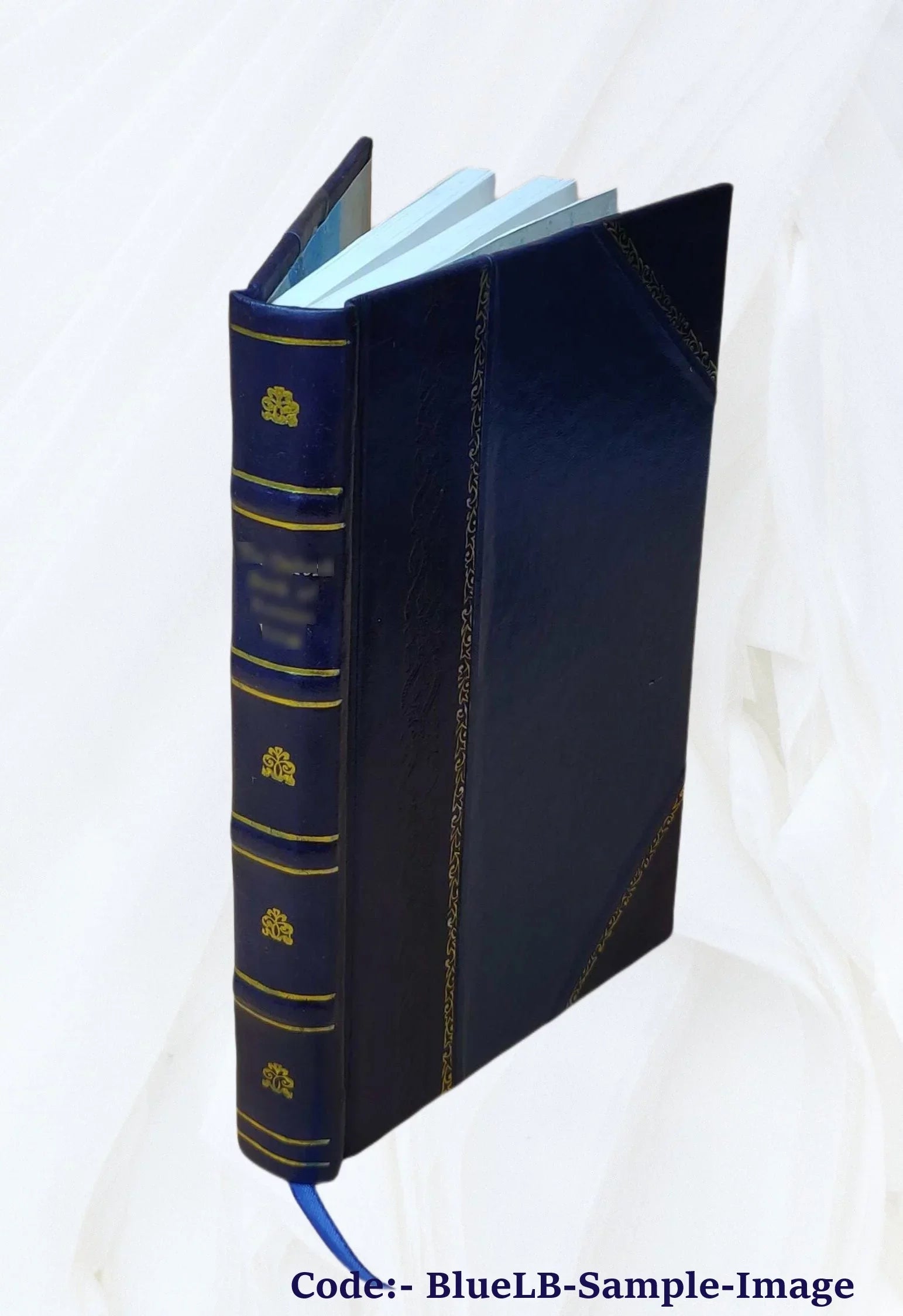 FSI - Igbo Basic Course - Student Text [Leather Bound]