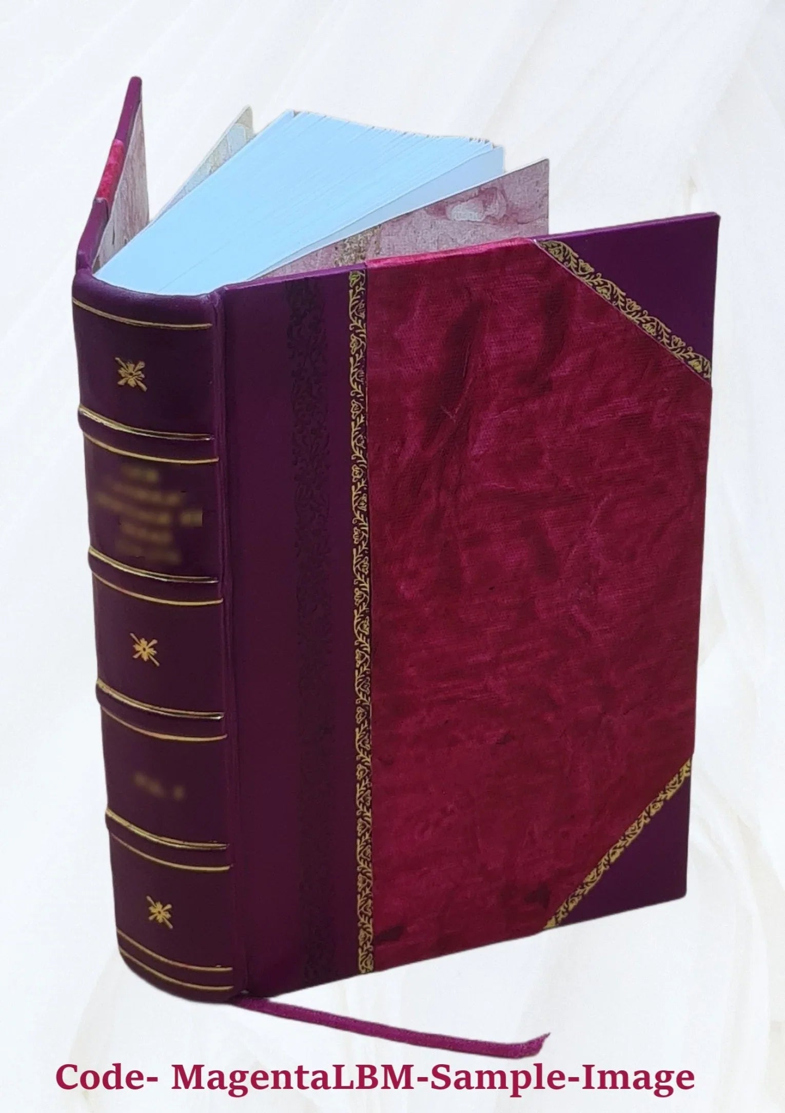 1900 [Leather Bound]. H.-H-430 Cyrus M. [Index (Soundex) to the population schedules of the twelfth census of the United States, 1900, Kentucky] Volume KENTUCKY - T1047 - H-400 P