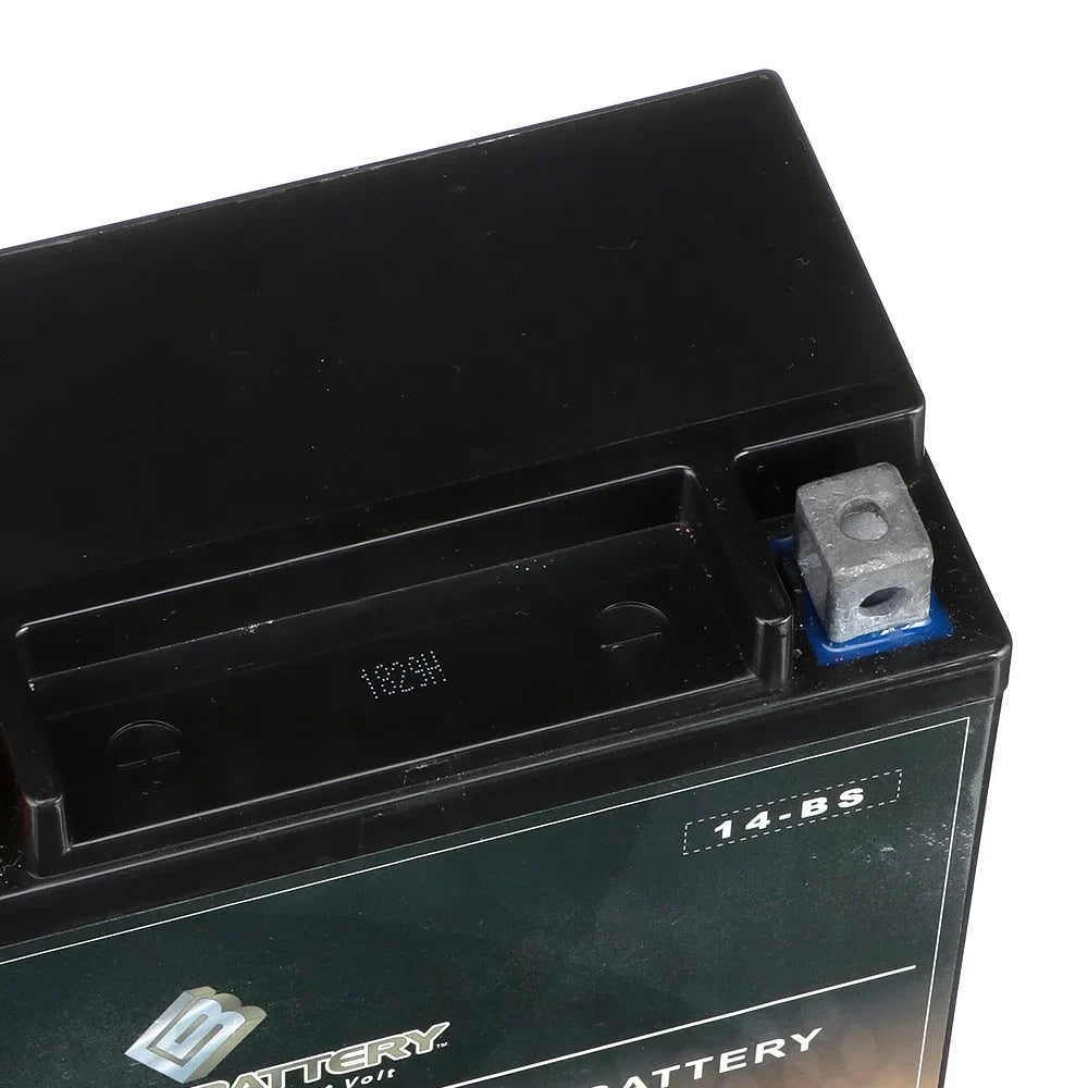 Tourer) 1100cc 01-'07. E. C. Chrome Battery YTX14-BS (14-BS 12 Volt,12 Ah, 200 CCA) Motorcycle Battery for Honda Vt1100c, C3, T Shadow (spirit, Aero, A