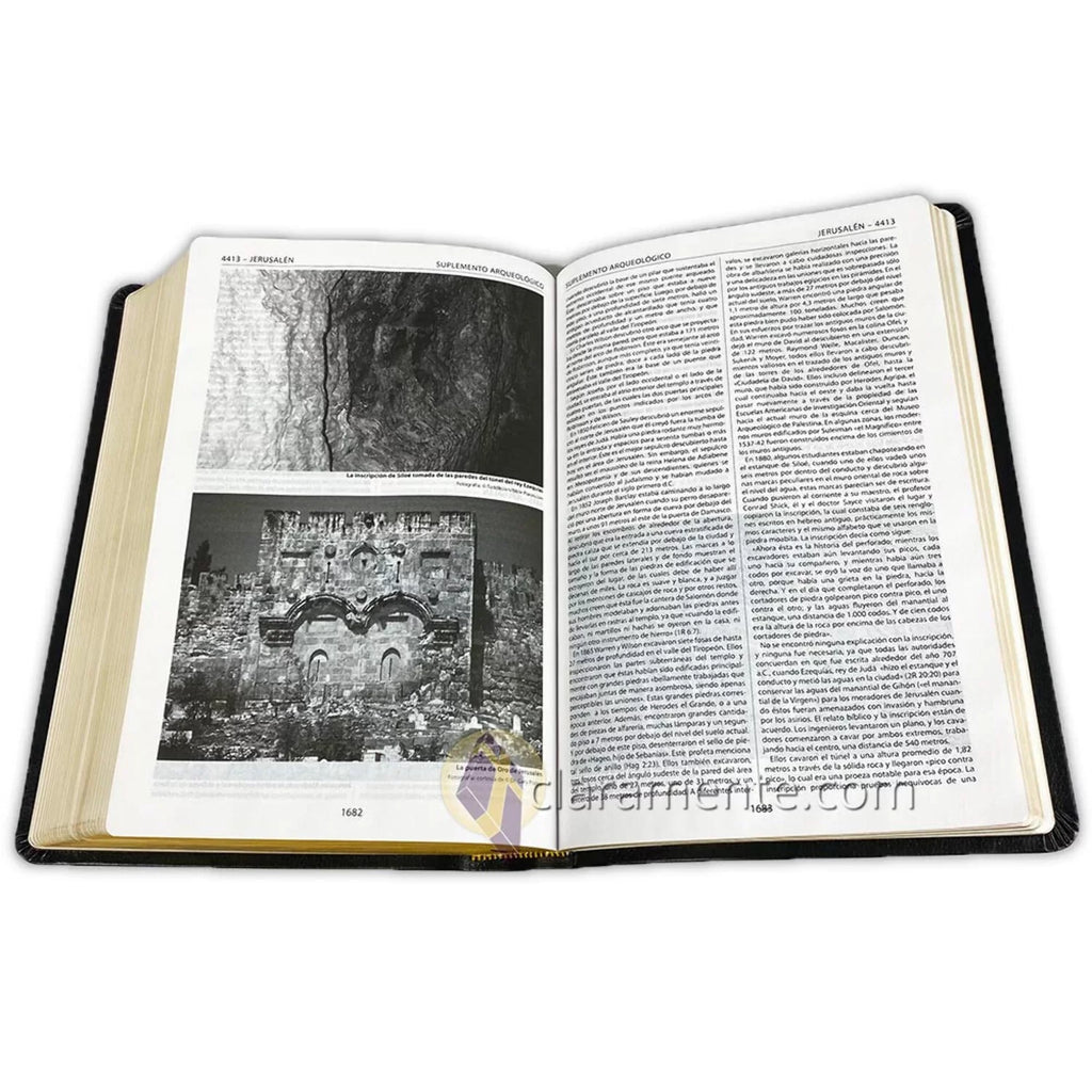 Biblia de Referencia Thompson, Reina Valera 1960, Piel Reciclada/ Spanish Thompson Chain Reference Bible, Reina Valera 1960, Recycled Leather Fibers (Other)