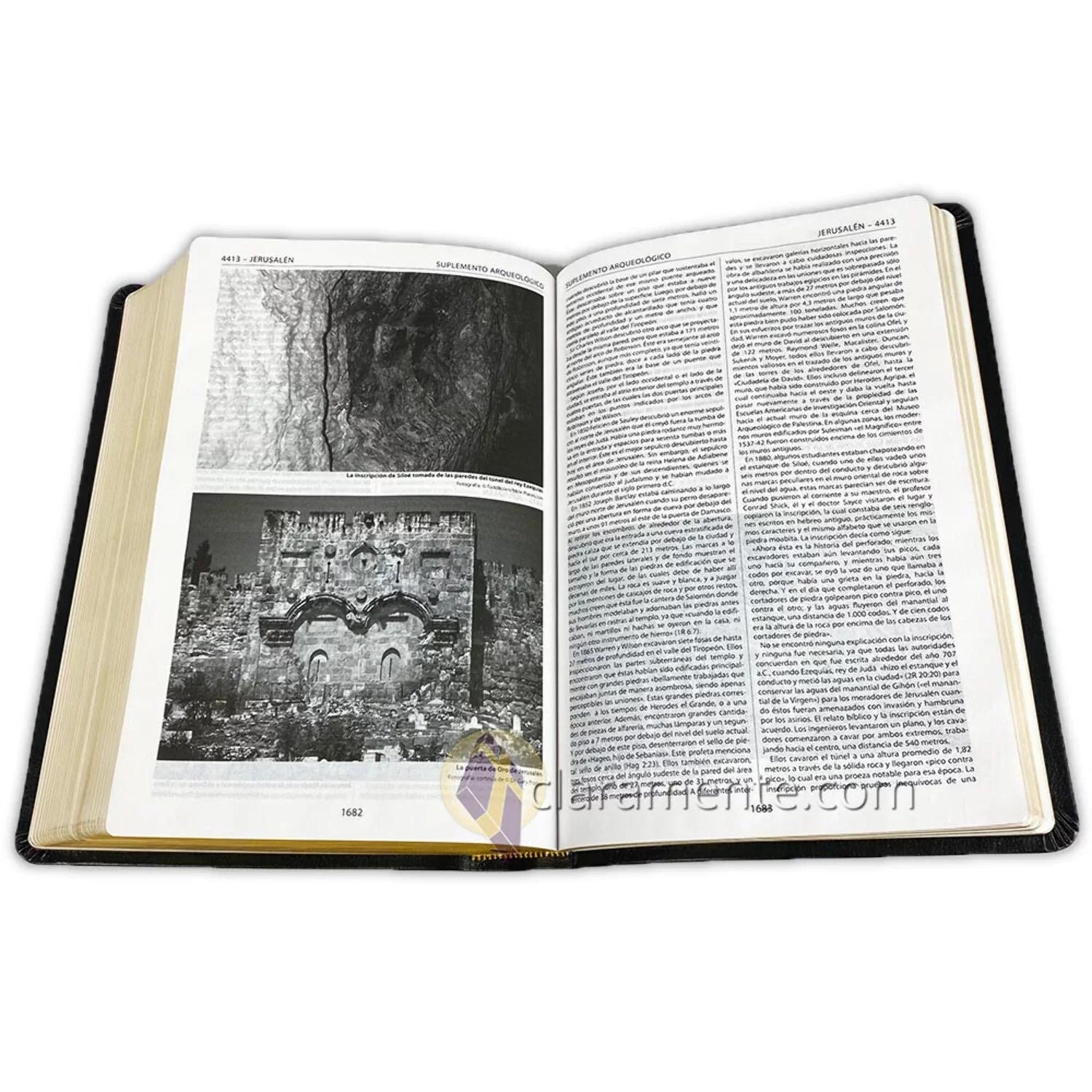 Biblia de Referencia Thompson, Reina Valera 1960, Piel Reciclada/ Spanish Thompson Chain Reference Bible, Reina Valera 1960, Recycled Leather Fibers (Other)