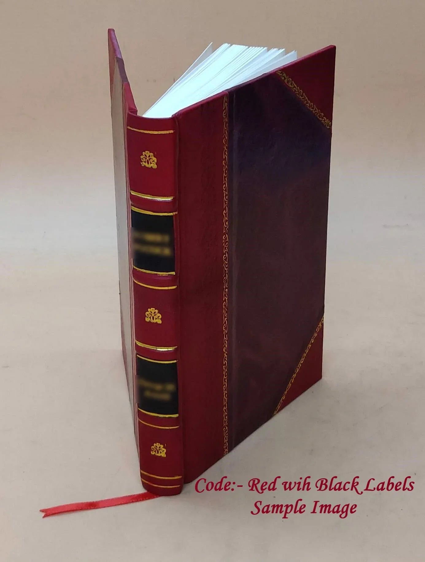 Sights and Insights Volume 1917 1917 [LEATHER BOUND]