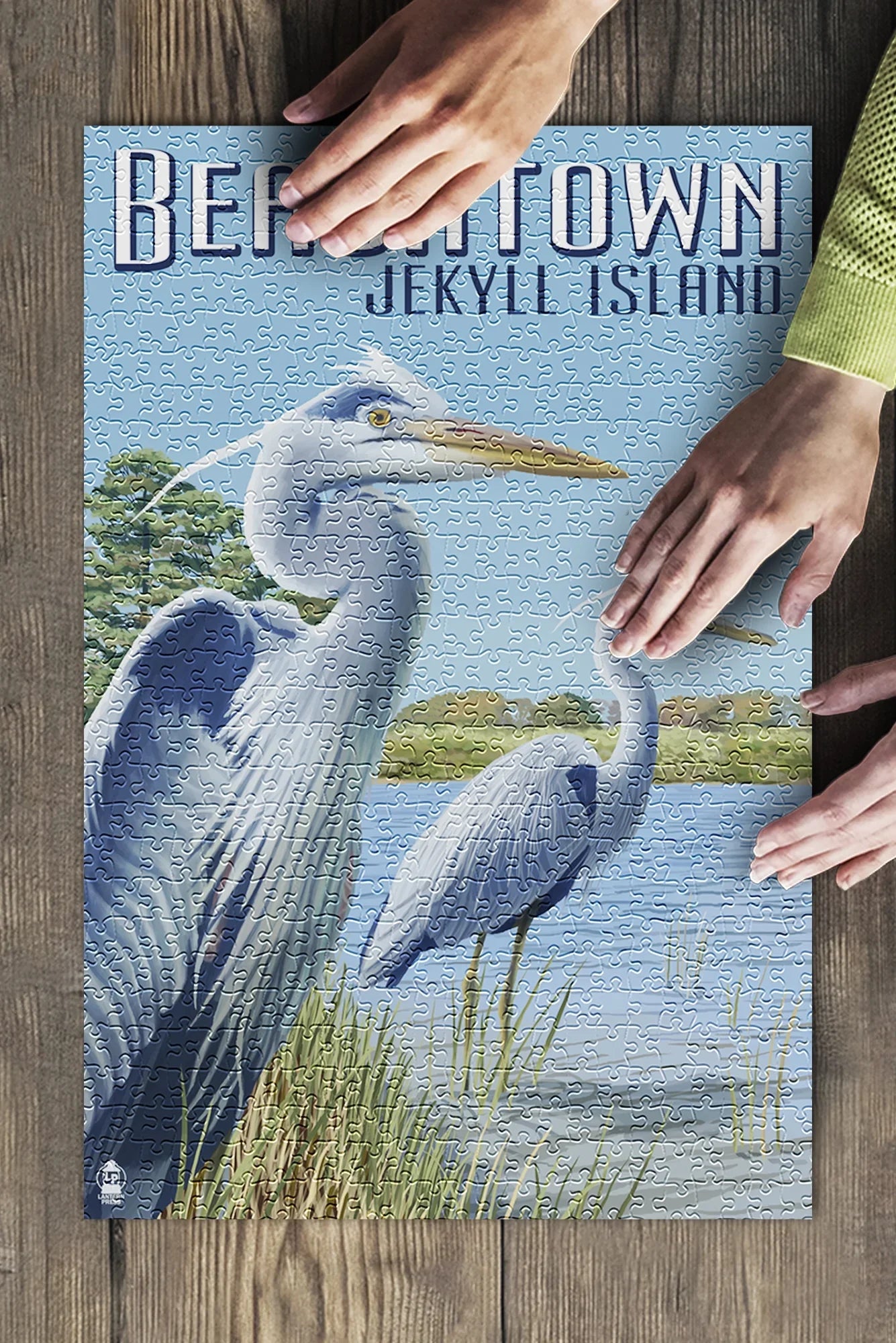 Beachtown, Jekyll Island, Georgia, Blue Herons (19x27 inches, Premium 500 Piece Jigsaw Puzzle for Adults and Family, Made in USA)