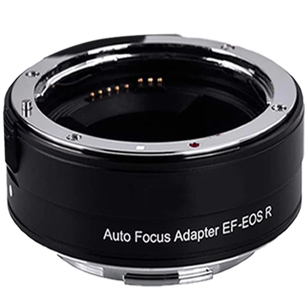 EOS R6 Mirrorless Digital Camera with RF 24-105mm STM Lens + Mount Adapter + SanDisk 128GB + ZeeTech Accessory Bundle