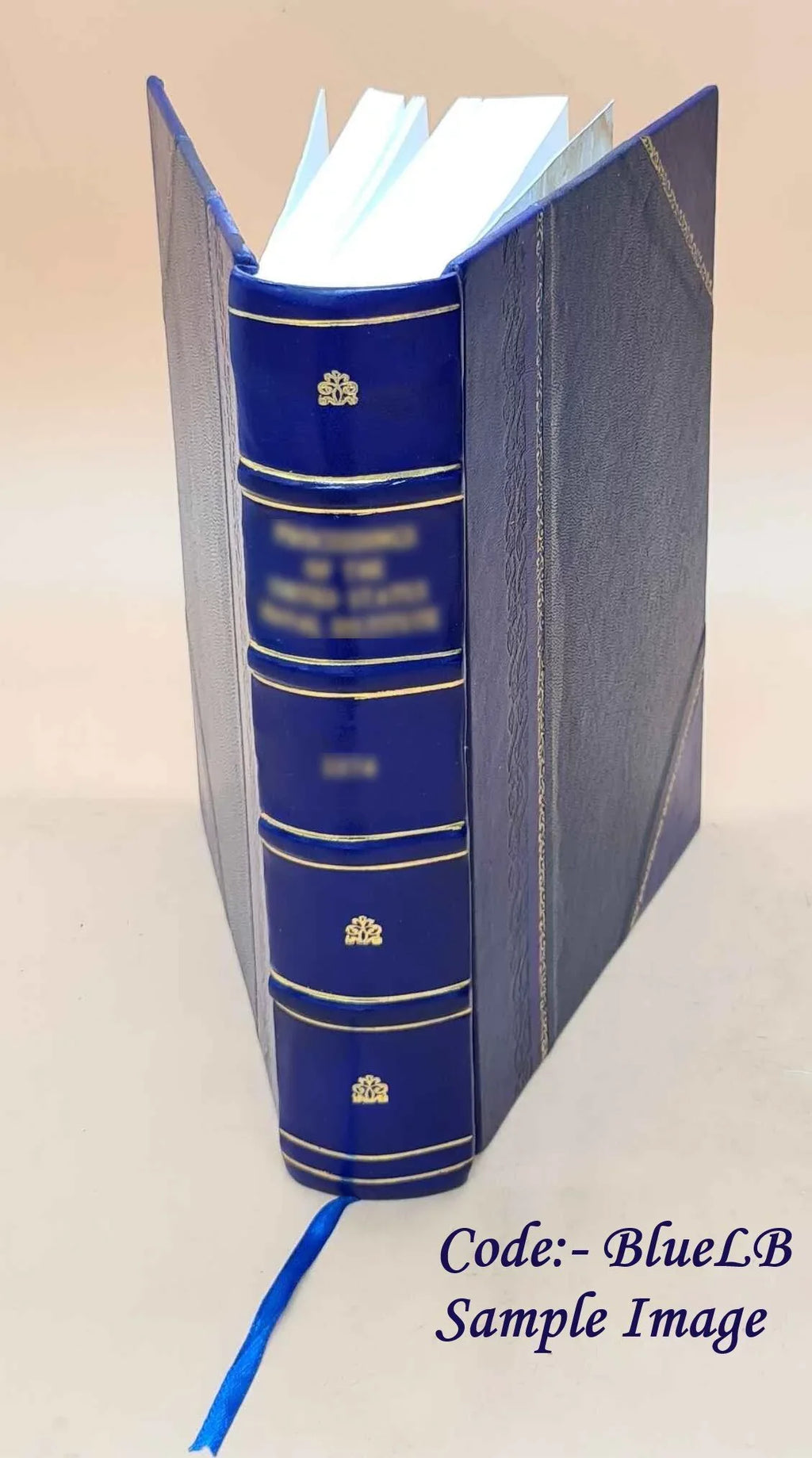 Sights and Insights Volume 1917 1917 [LEATHER BOUND]