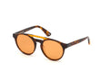 Web sunglasses WE0262 UNISEX 51/19/145 56J HAVANA