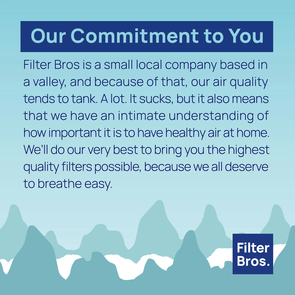 Filter Bros Filter C suitable With GermGuardian FLT5000 - AC5000, AC5000E, HEPA Replacement For Home Air Cleaner Purifiers, AC5300B, AC5250PT With Technologies and AC5350B, AC5350BCA, AC5350W, AC530