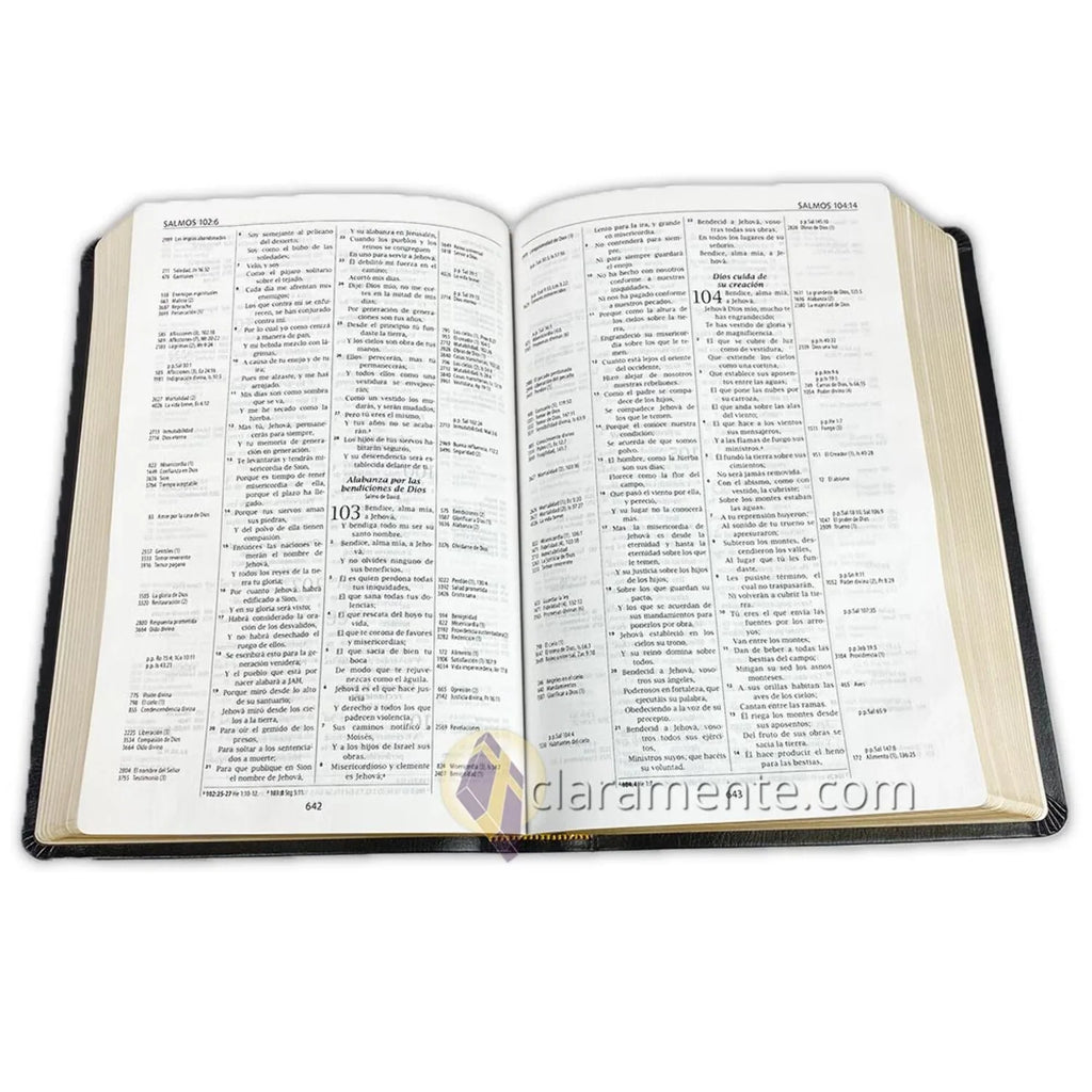 Biblia de Referencia Thompson, Reina Valera 1960, Piel Reciclada/ Spanish Thompson Chain Reference Bible, Reina Valera 1960, Recycled Leather Fibers (Other)