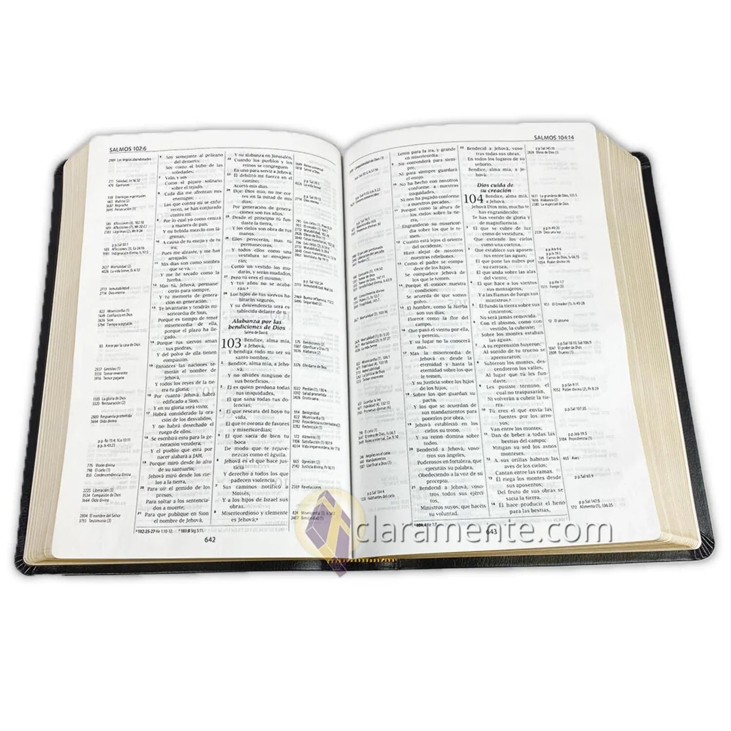 Biblia de Referencia Thompson, Reina Valera 1960, Piel Reciclada/ Spanish Thompson Chain Reference Bible, Reina Valera 1960, Recycled Leather Fibers (Other)