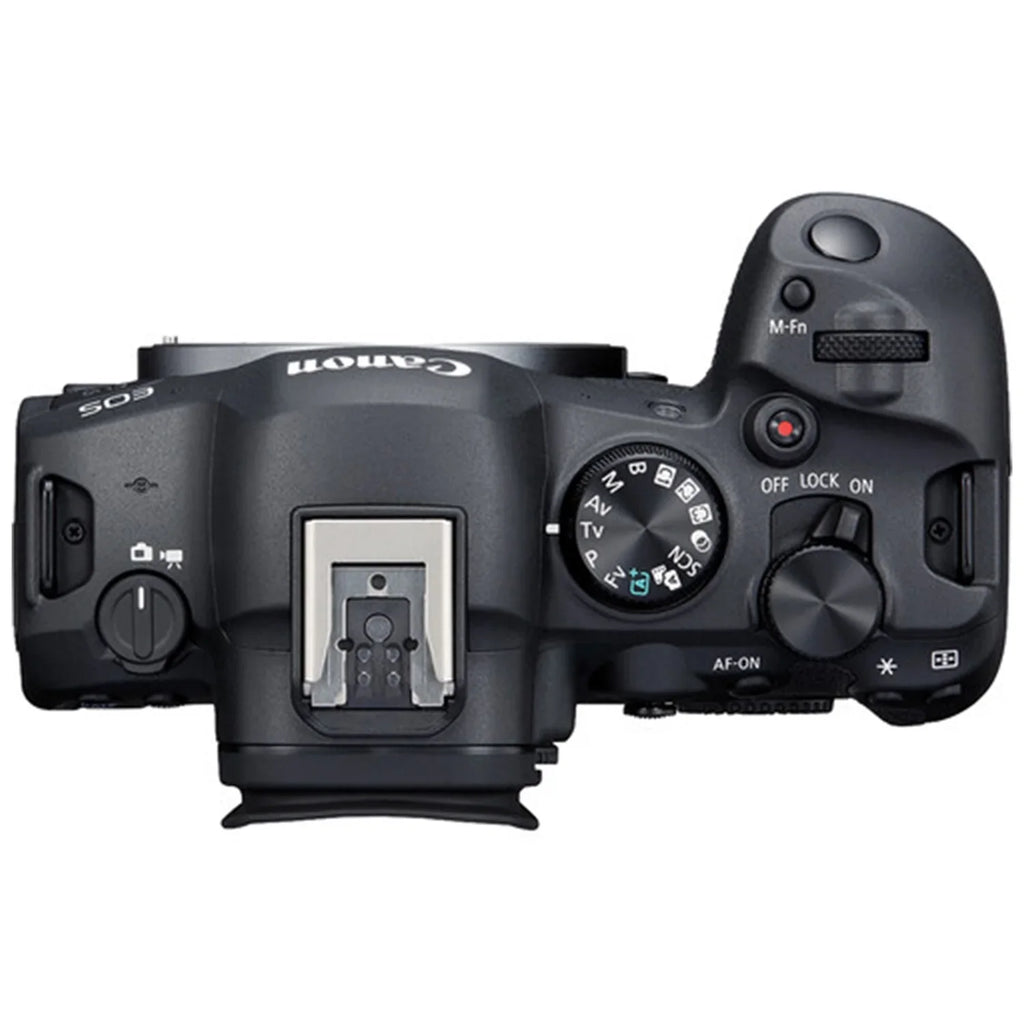 EOS R6 Mark II Mirrorless Camera with RF 24-105mm + EF 75-300mm Lens + SanDisk 32GB Memory Card + Case + LED Flash + ZeeTech Accessory Bundle