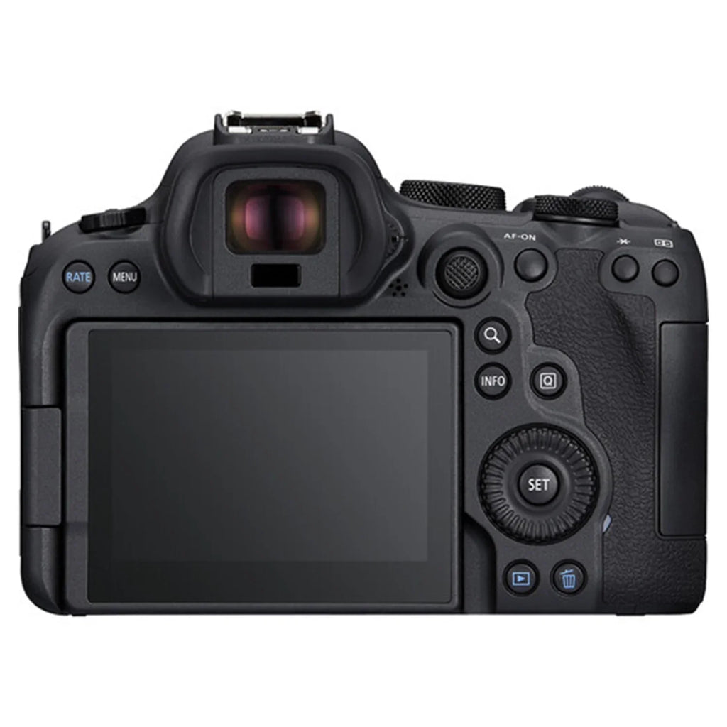 EOS R6 Mark II Mirrorless Camera with RF 24-105mm + EF 75-300mm Lens + SanDisk 32GB Memory Card + Case + LED Flash + ZeeTech Accessory Bundle