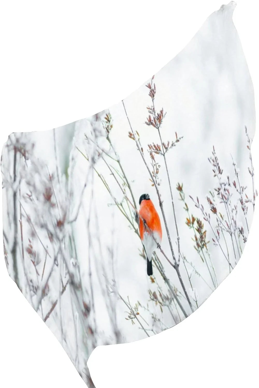 Hyjoy Women Silk Scarf Bullfinch Birds Branches Winter Snow Christmas New Year Hair Wraps Shawls Neck Scarves Colorful Print