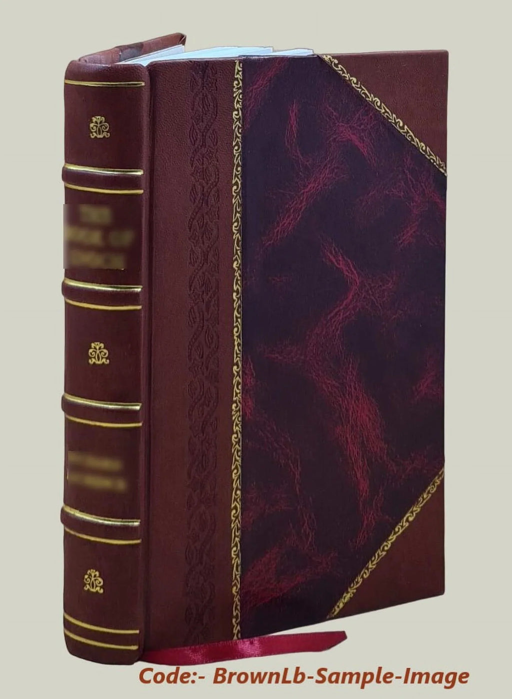 1888 [Leather Bound]. Bernard's : the romance of a medical student / by Aesculapius Scalpel. St