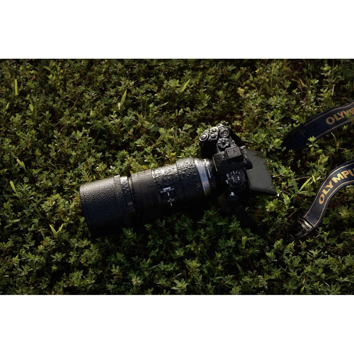 OLYMPUS M.Zuiko Digital ED 300mm F4.0 PRO Lens, for Micro Four Thirds Cameras