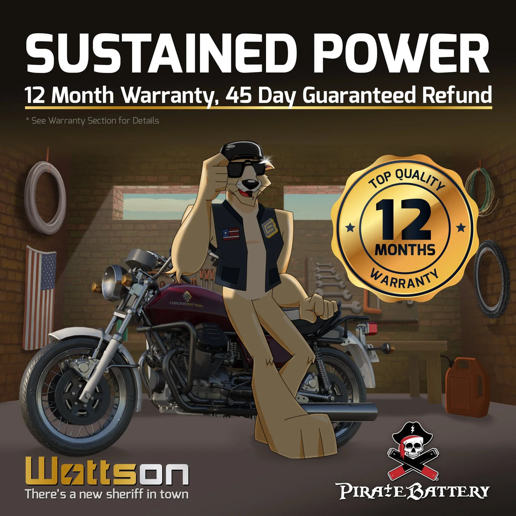 Pirate Battery Ytx14Ahl-Bs Motorcycle Battery For Kawasaki 750Cc Vn750-A Vulcan 1995