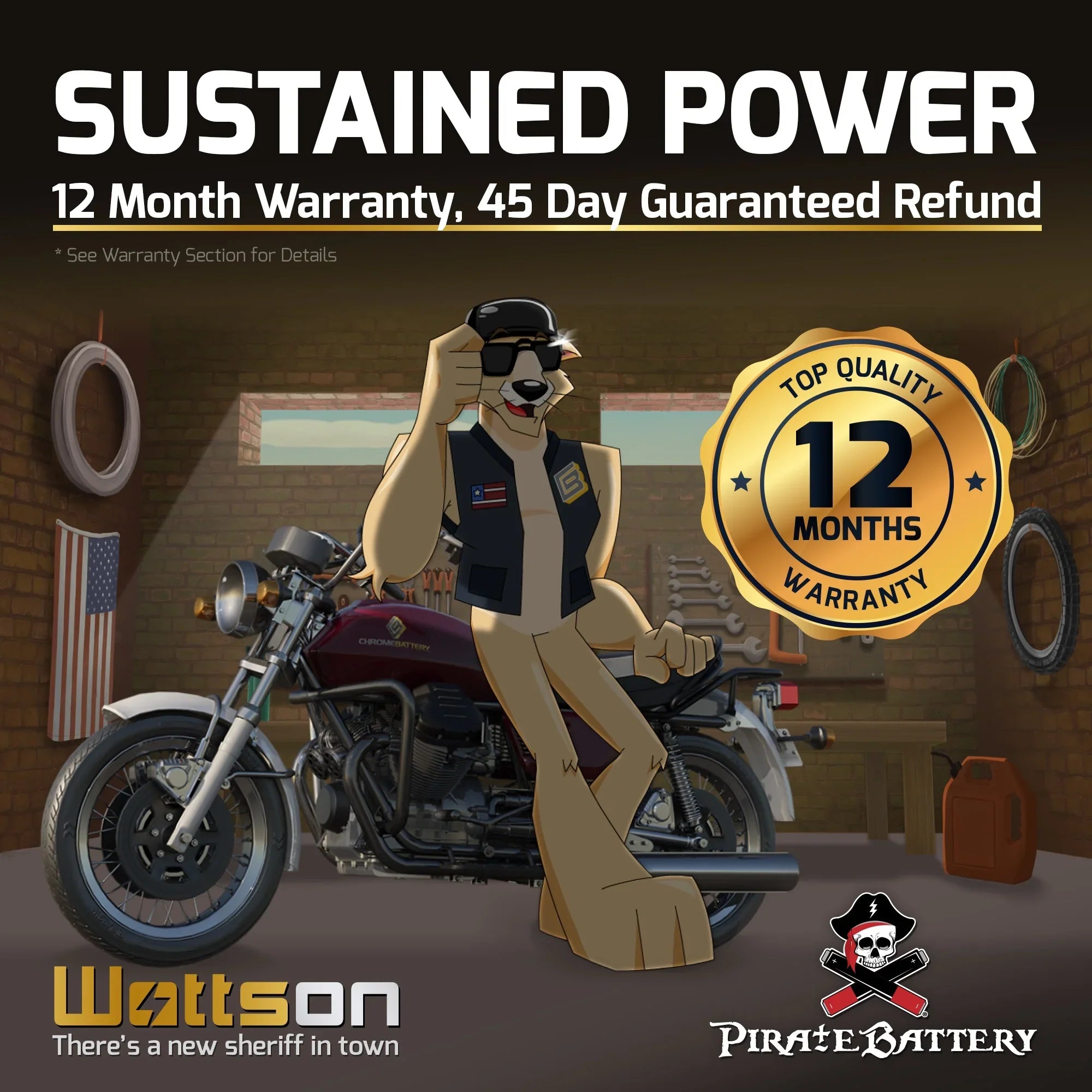 Pirate Battery Ytx14Ahl-Bs Motorcycle Battery For Kawasaki 750Cc Vn750-A Vulcan 1995