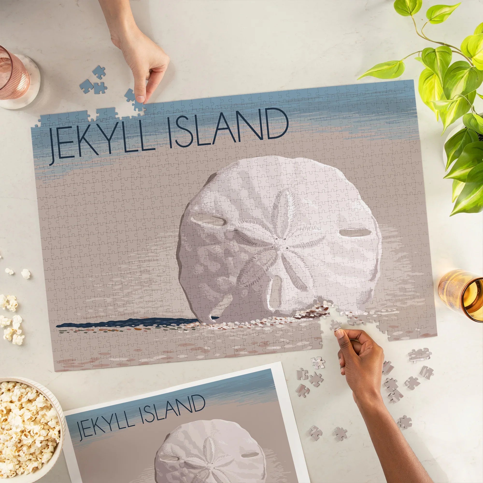 Lantern Press 1000 Piece Jigsaw Puzzle, Jekyll Island, Georgia, Sand Dollar
