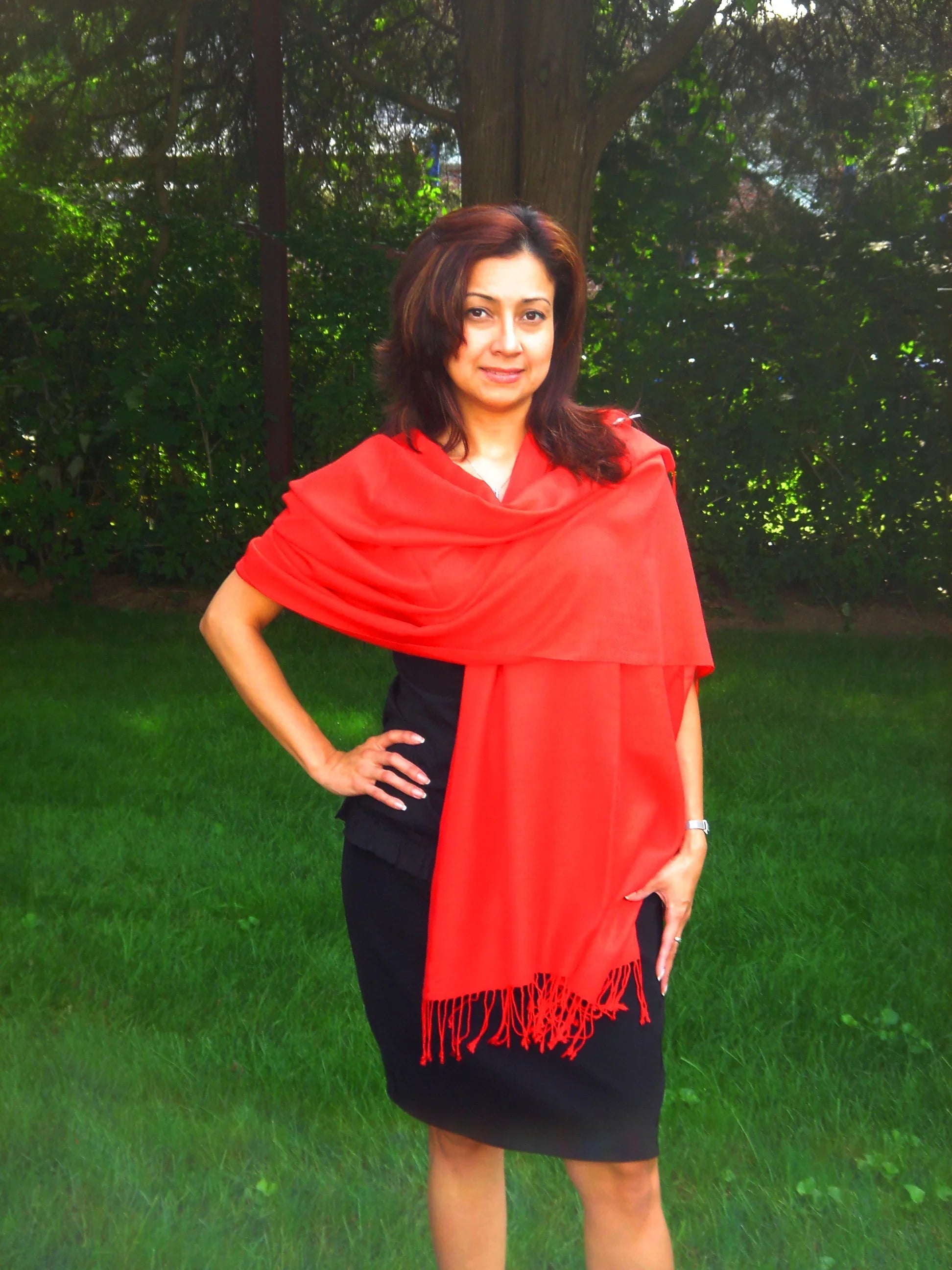 Scarf/Scarves/Shawl/Shawls/Stole/Wrap/Pashmina Scarf/Pashmina Shawl/Cashmere/Cashmere Scarf/Wool/Silk (Lipstick Red)