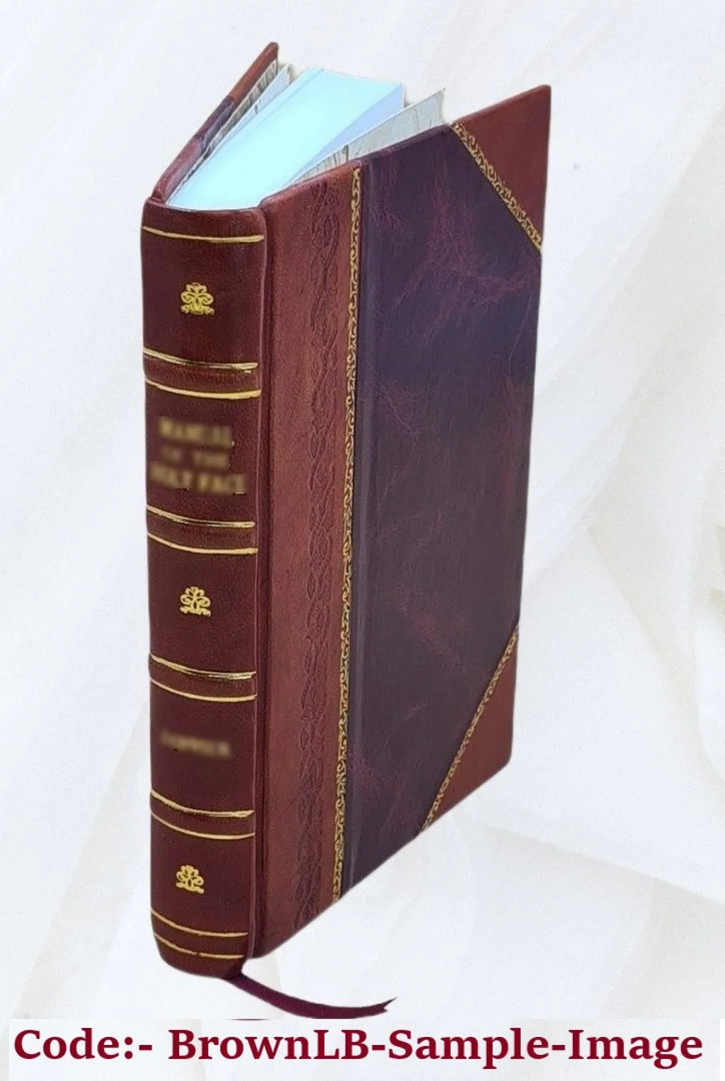 1892 [Leather Bound]. Pinacoteca di Milano (Palazzo Brera). Catalogo della R