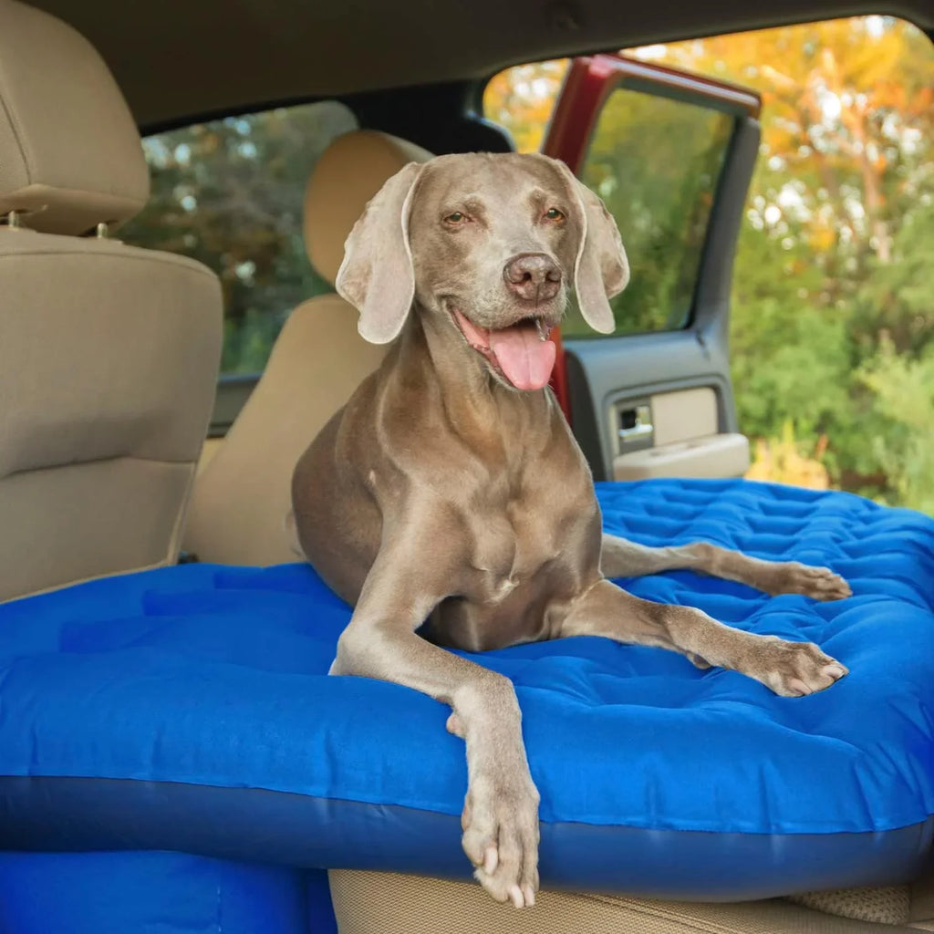 Pittman Outdoors PPI-BLU-TRKMAT Inflatable Fabric Rear Seat Truck Air Bed Mattress | 5 Feet In Length | Fits Full-Sized Trucks And 's, Blue