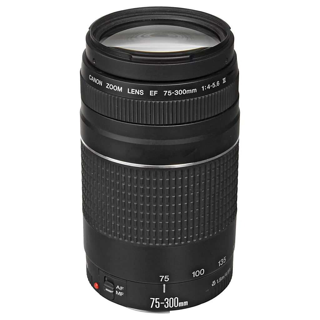 EOS R6 Mark II Mirrorless Camera with RF 24-105mm + EF 75-300mm Lens + SanDisk 32GB Memory Card + Case + LED Flash + ZeeTech Accessory Bundle