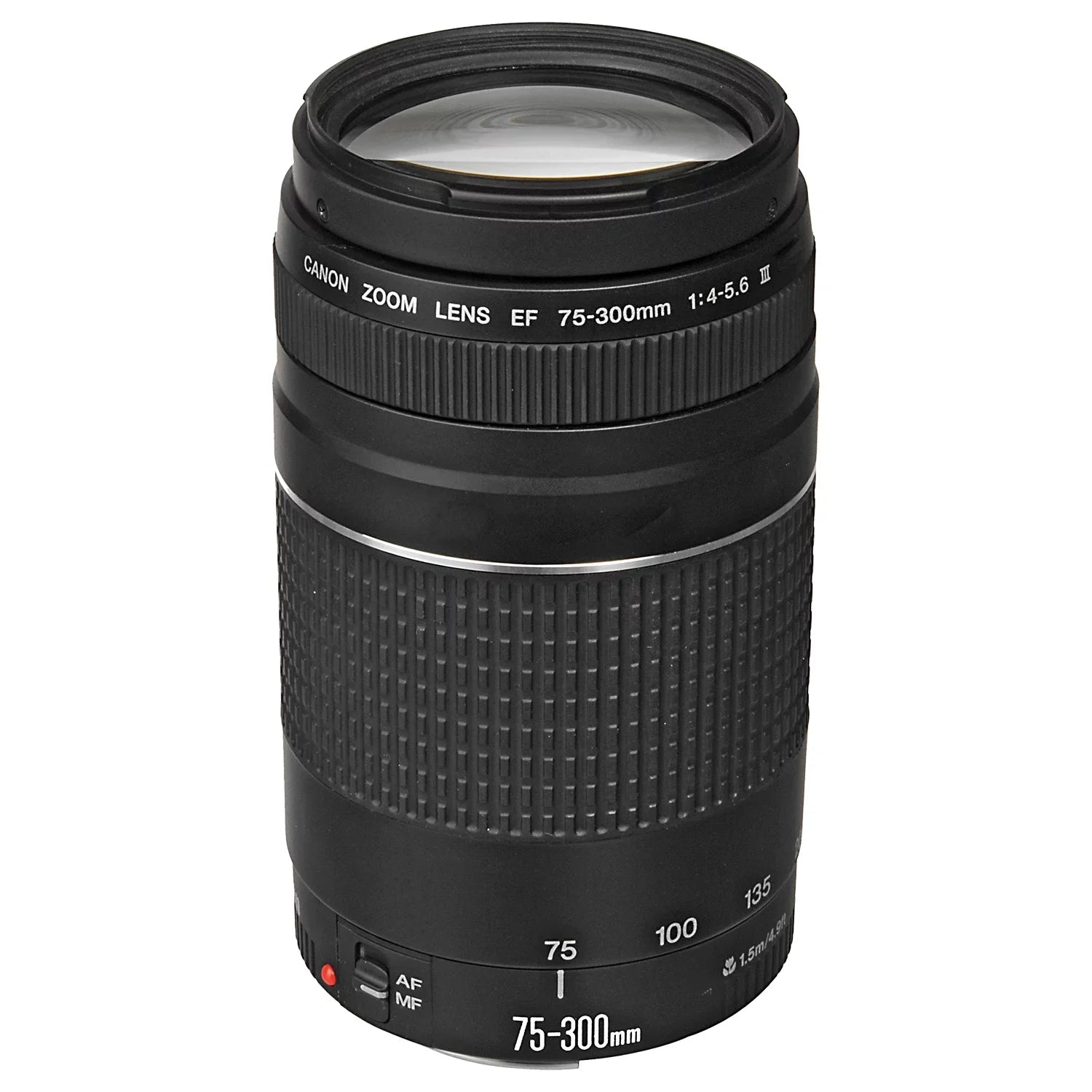 EOS R6 Mark II Mirrorless Camera with RF 24-105mm + EF 75-300mm Lens + SanDisk 32GB Memory Card + Case + LED Flash + ZeeTech Accessory Bundle