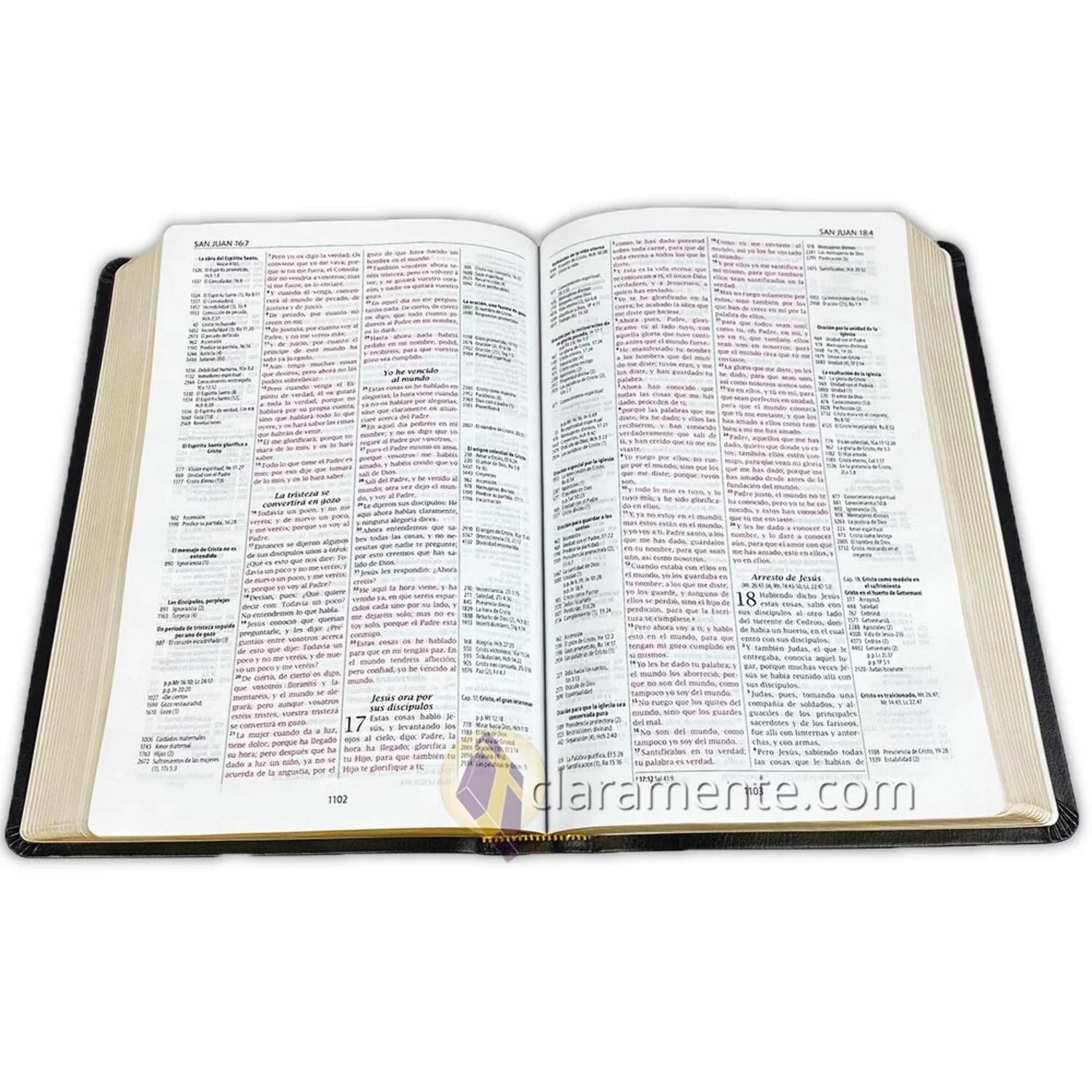 Biblia de Referencia Thompson, Reina Valera 1960, Piel Reciclada/ Spanish Thompson Chain Reference Bible, Reina Valera 1960, Recycled Leather Fibers (Other)